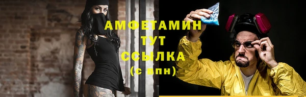 спиды Ладушкин