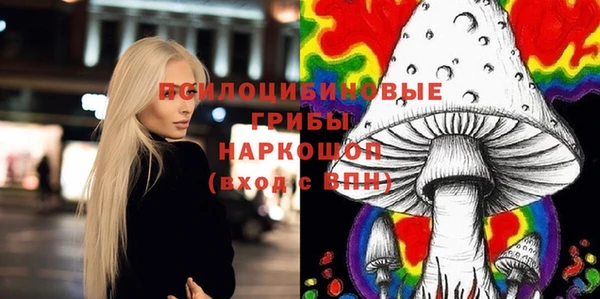 эйфоретик Алексин