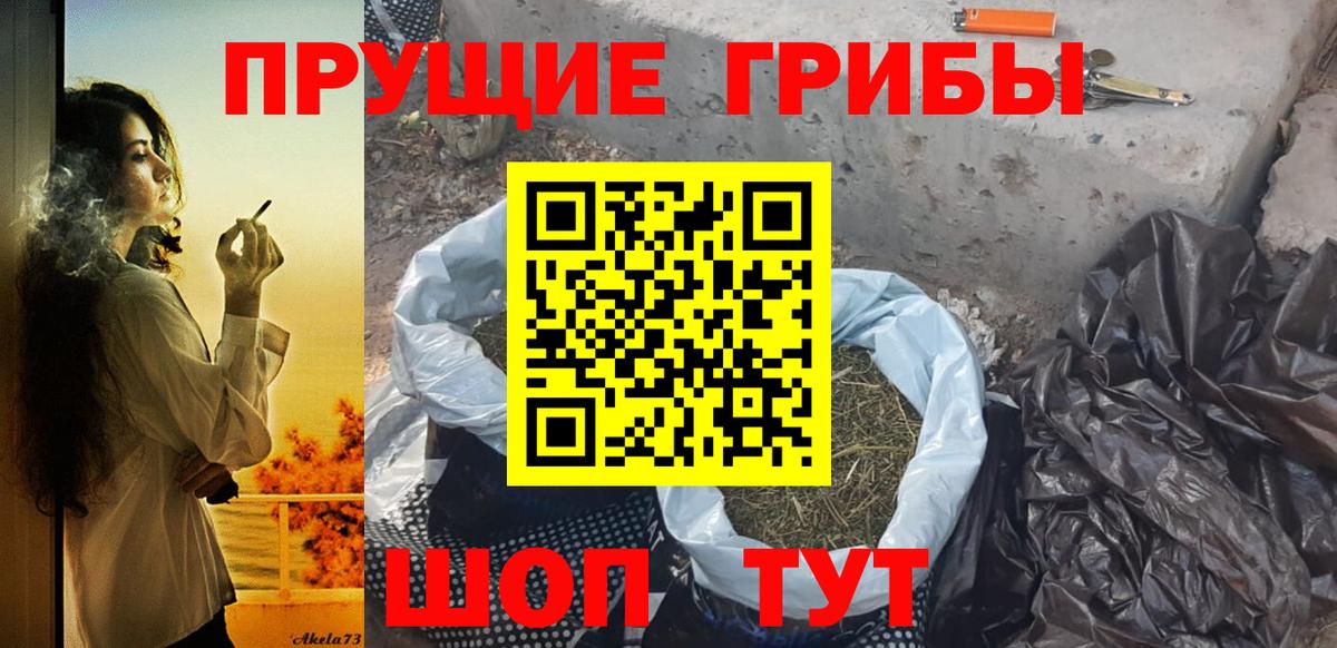 Одинцово  Галлюциногенные грибы MAGIC MUSHROOMS  Вход с VPN  Галлюциногенные грибы Psilocybine cubensis 